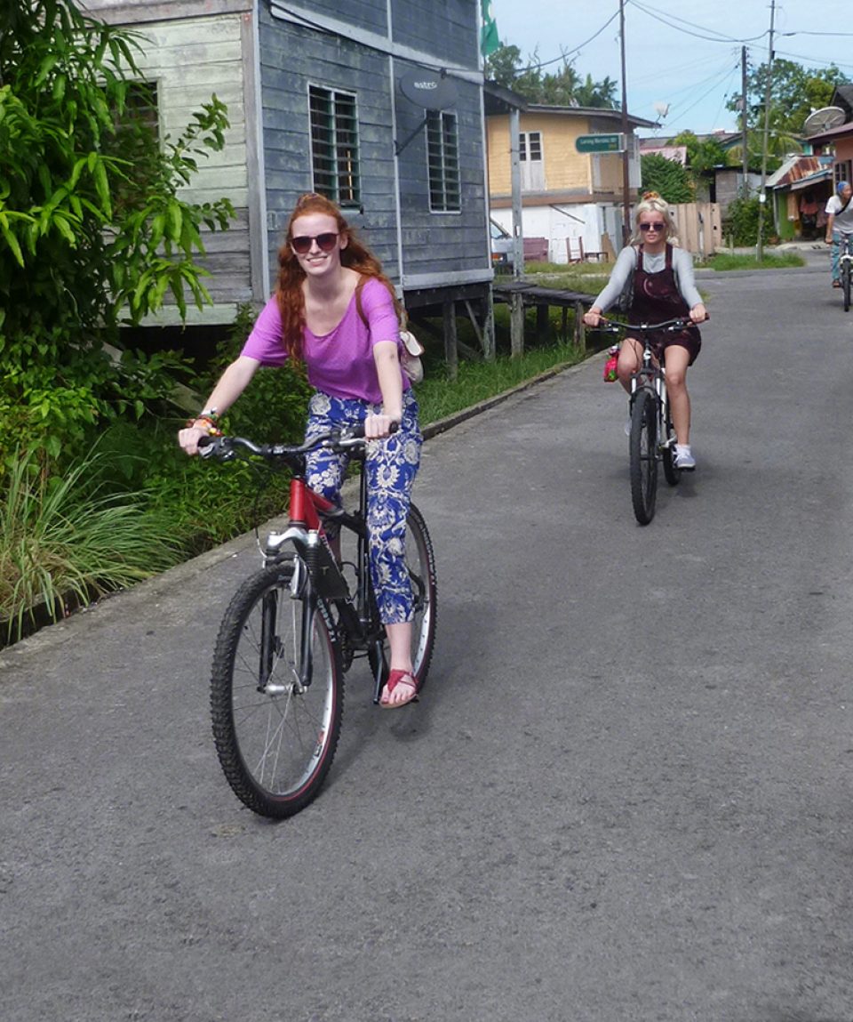 PedalPower SW